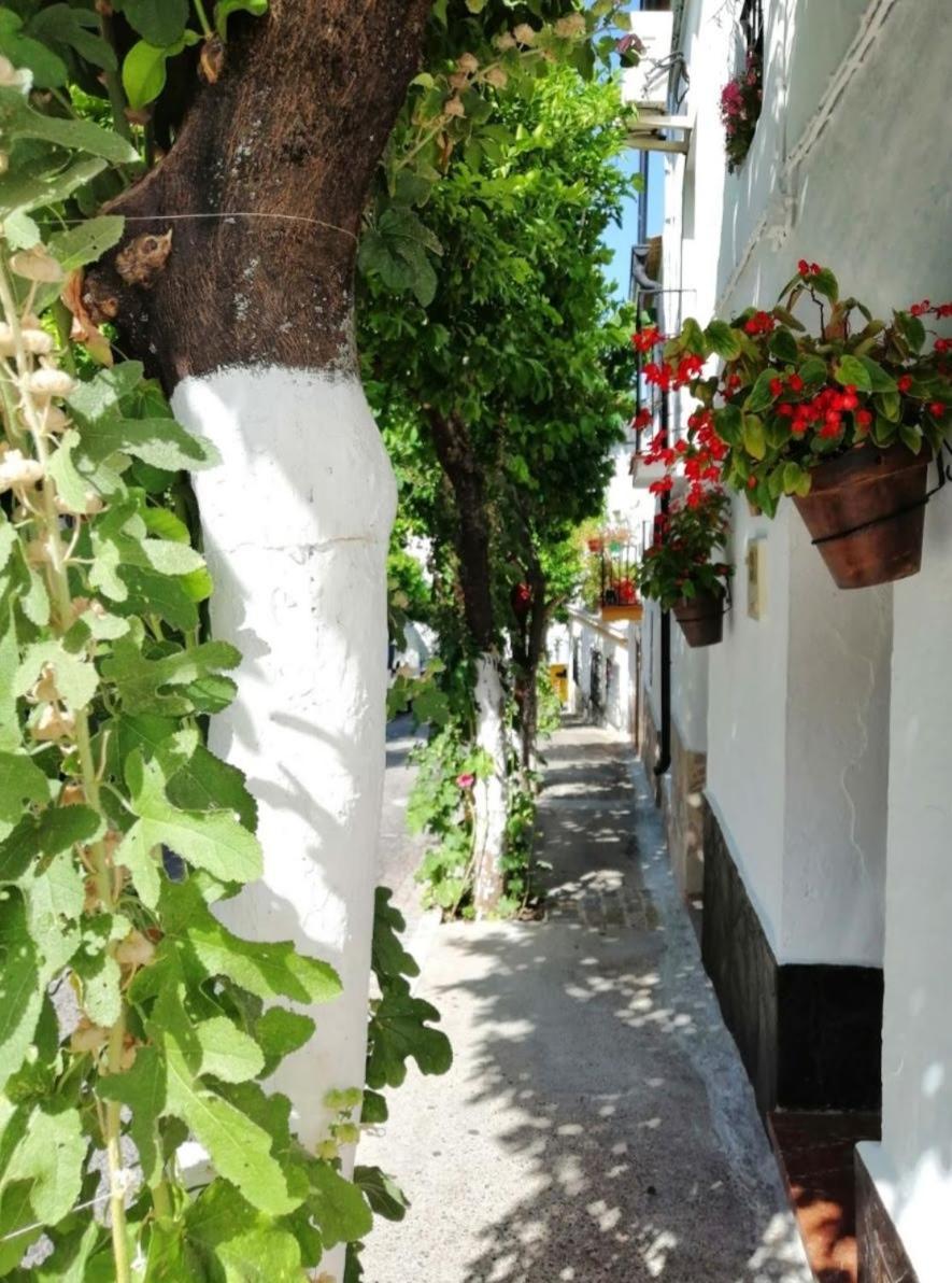 Mi Casita Del Bosque El Bosque (Cadiz)